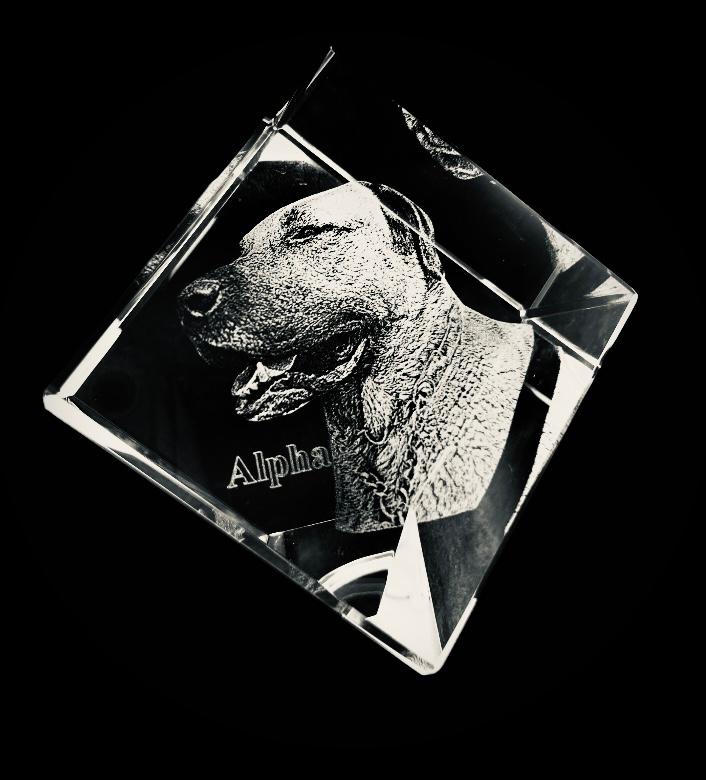 Rombo de cristal 3D con la cabeza de un perro y su nombre grabados