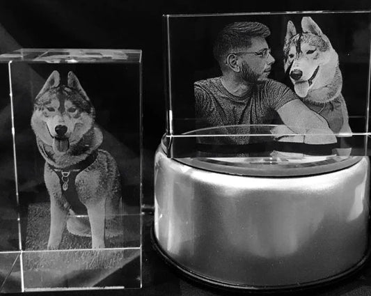 Para los amantes de las mascotas que valoran y aprecian el amor incondicional Kristalaser