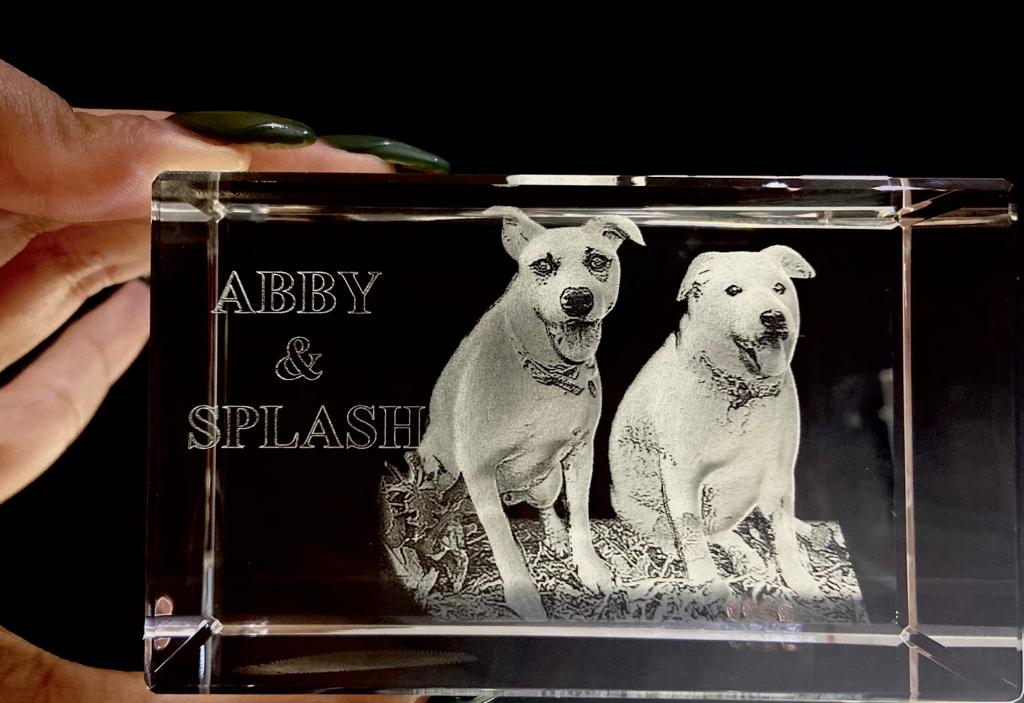 regalos para amantes de los perros Kristalaser