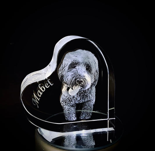 Corazón de cristal 3D con un perro grabado y su nombre, sobre base LED