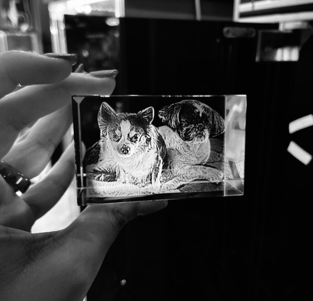 Cristales 3D con Fotos de Mascotas: Una Joya para los Amantes de los Animales Kristalaser