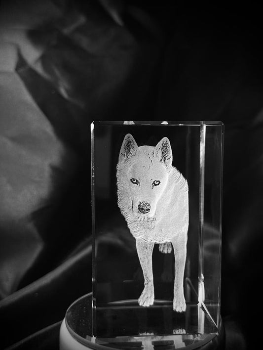 Recordar a tus mascotas de manera especial Kristalaser