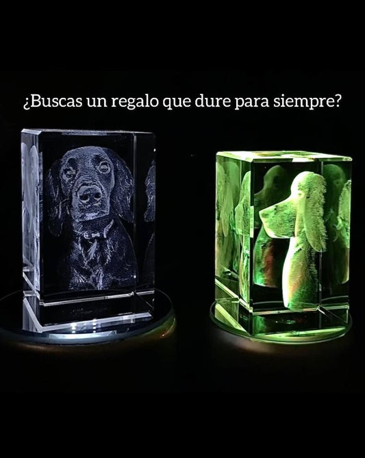 Diferencia entre un Cristal 2D y uno en 3D: El Elegante Plano vs. el Impresionante Relieve Kristalaser