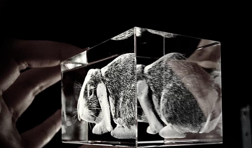 Regalo personalizado con foto mascota 5x8x5cm