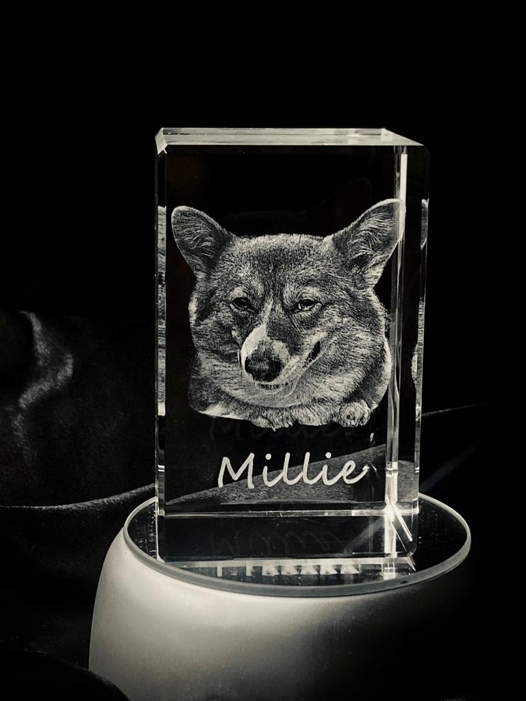 Regalo personalizado con foto mascota 5x8x5cm