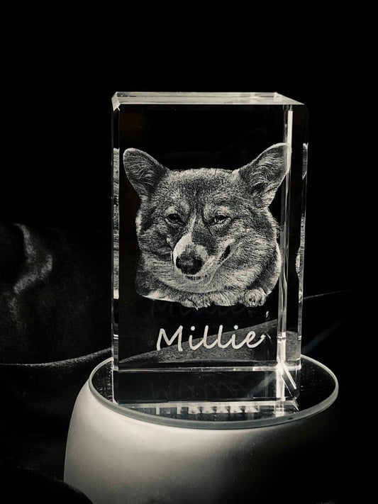 Regalo personalizado con foto mascota 5x8x5cm