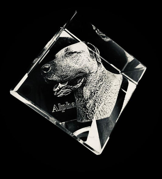 Regalos originales. Mascota 3d