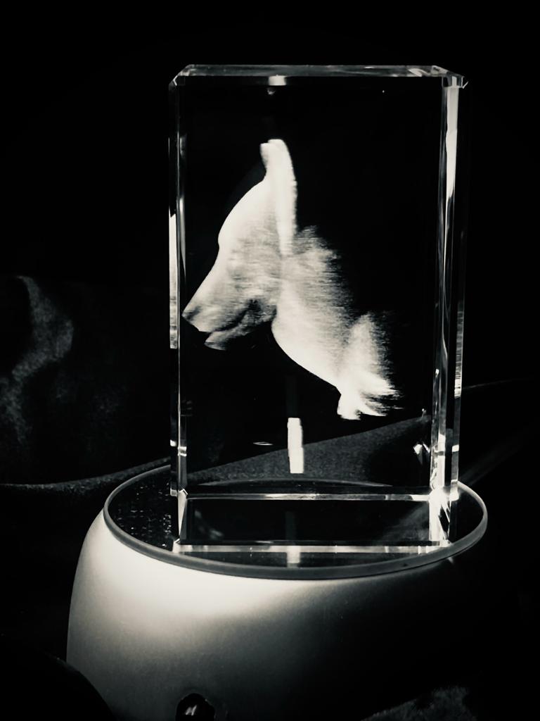 Regalo personalizado con foto mascota 5x8x5cm