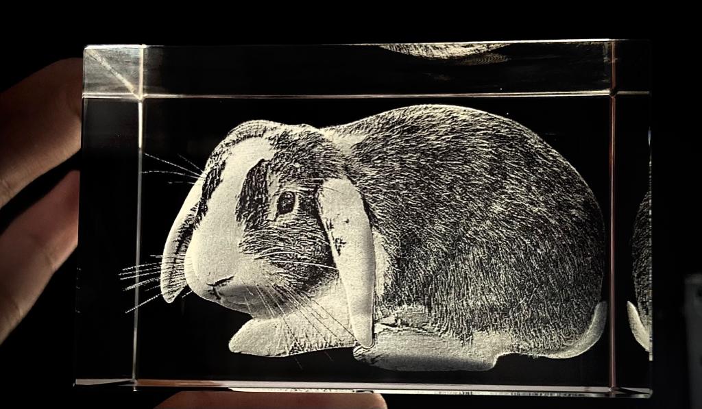 Regalo personalizado con foto mascota 5x8x5cm