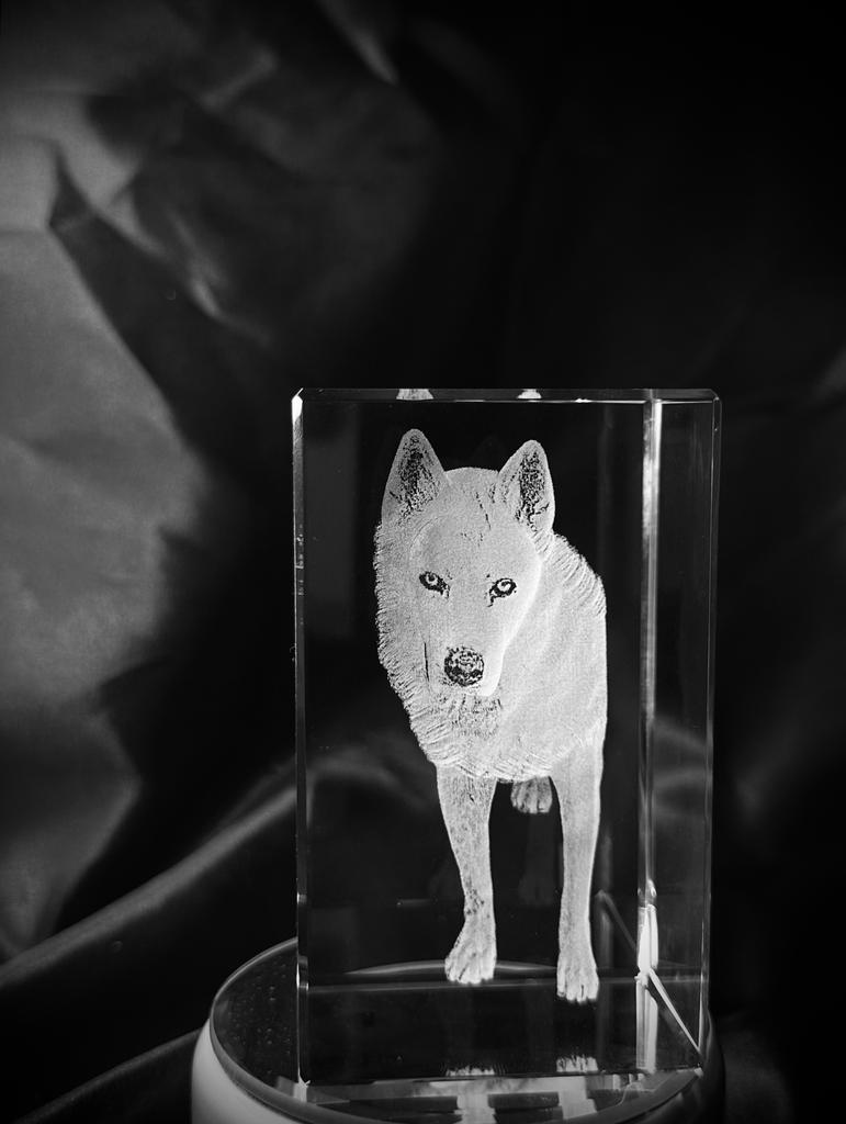 Rectangulo Mascota en cristal 3D