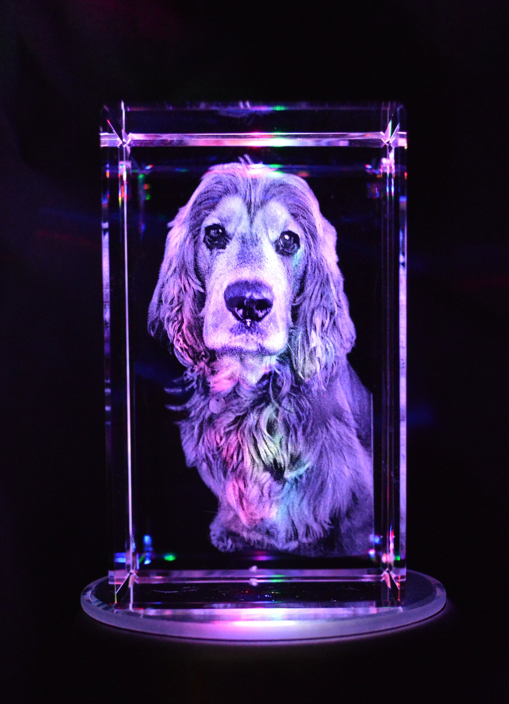 retrato de mascota 3d personalizado regalo original